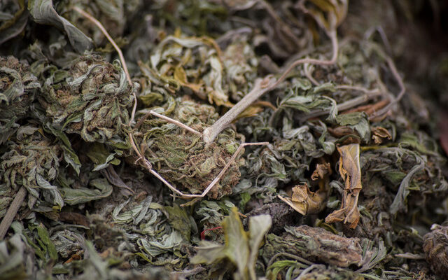 Contexto | Agencia UNO 