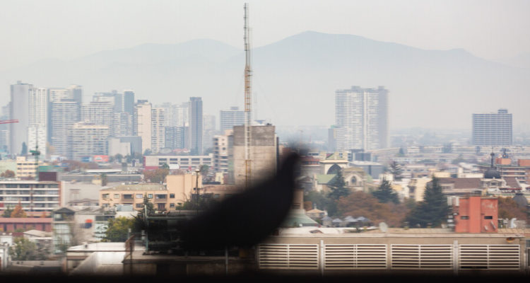 ARCHIVO | Diego Martin | Agencia UNO