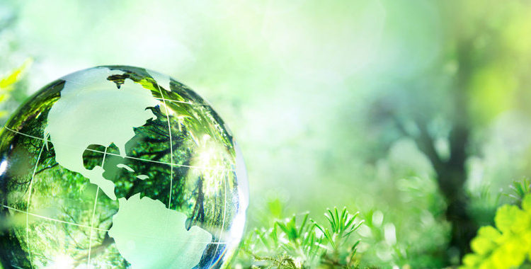 Crédito de foto: Twenergy
