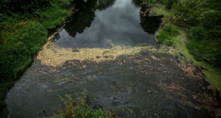 ARCHIVO | Agencia UNO