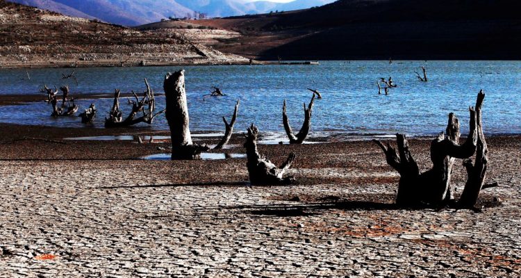 ARCHIVO | Agencia UNO