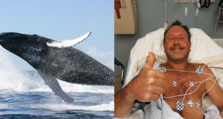 Wikimedia Commons (izquierda) | USA Today (derecha)