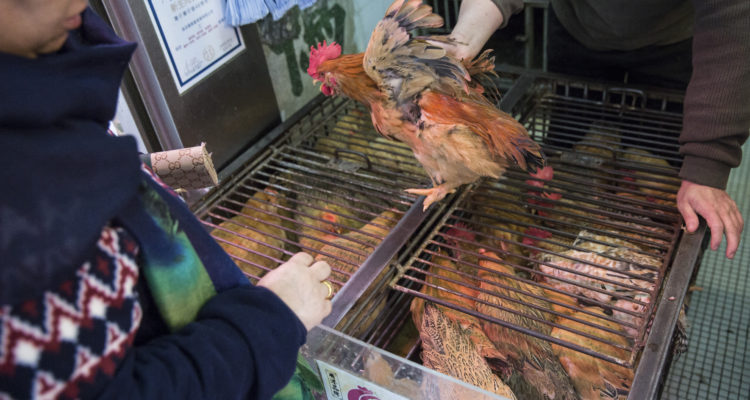 Isaac Lawrence | Agence France-Presse