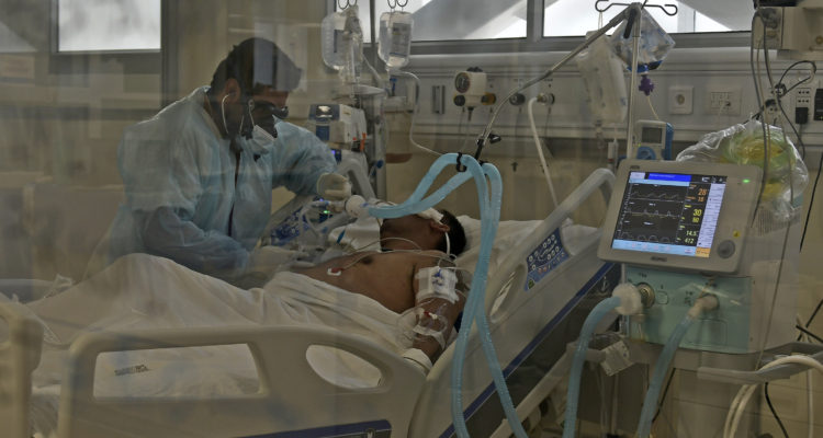 Vivero Boornes | Agencia UNO