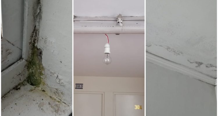 Fabián Polanco | RBB Bío Bío