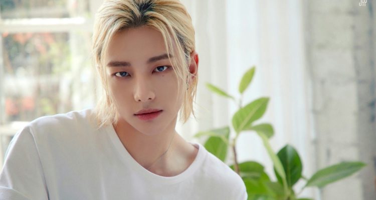 Hyunjin de Stray Kids