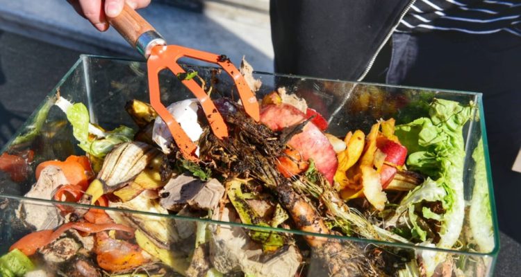 Twitter | @evelynmatthei
