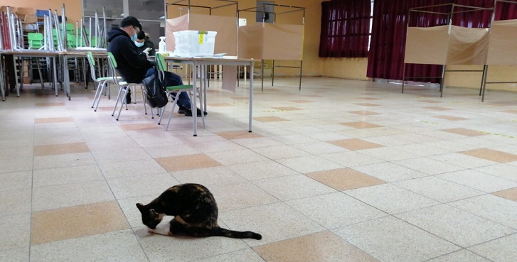 Valeska Belmar (RBB)