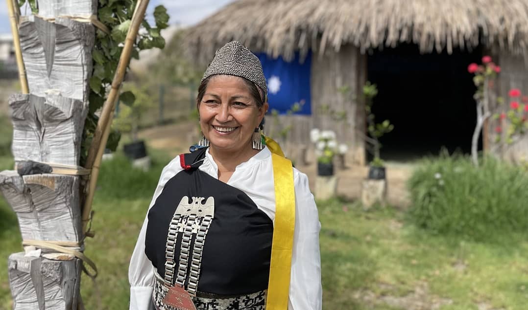 Elisa Loncon – Constituyente Mapuche | Facebook