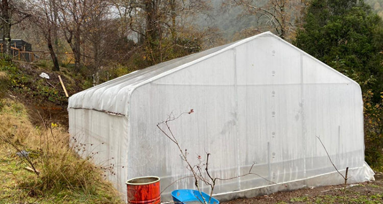 Comunicado de prensa