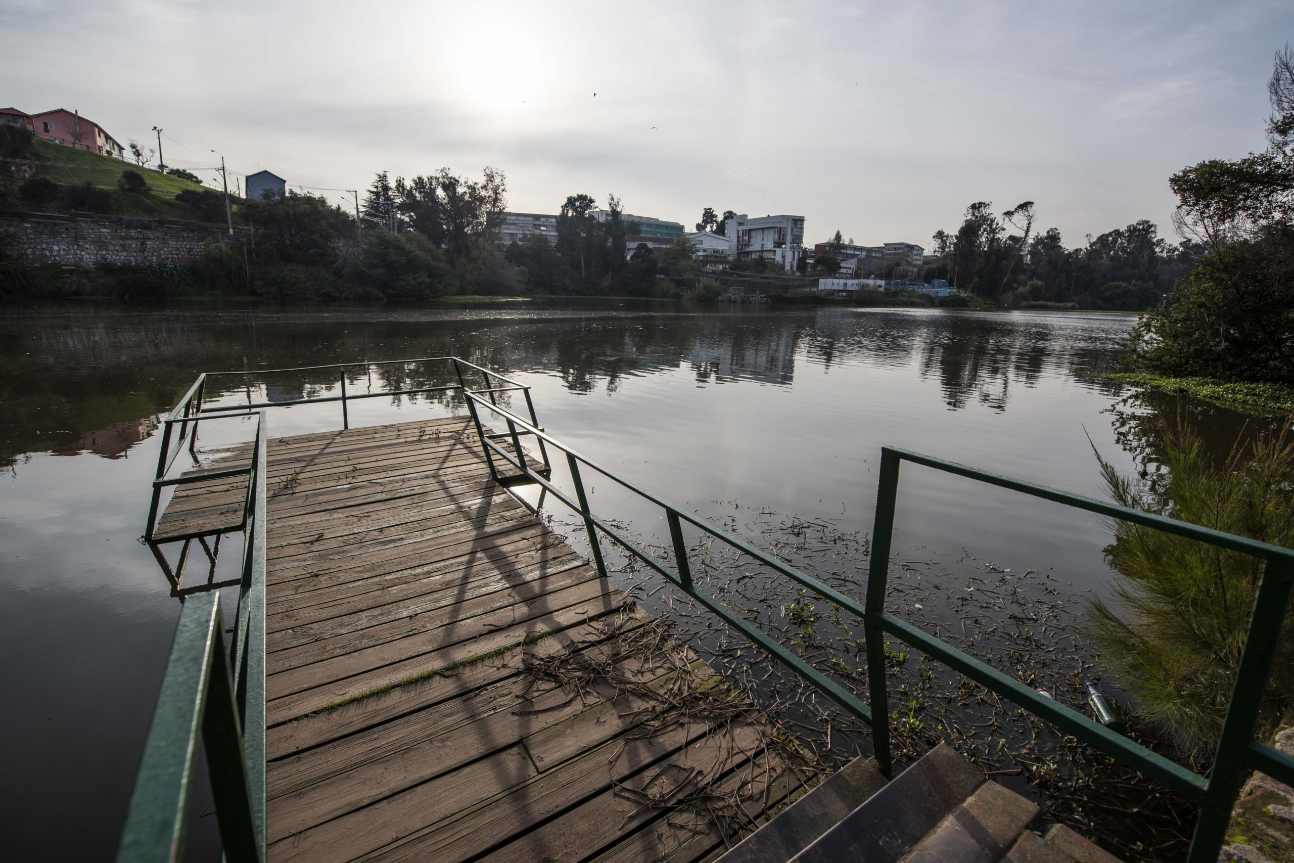 Laguna Sausalito | Archivo | Agencia UNO