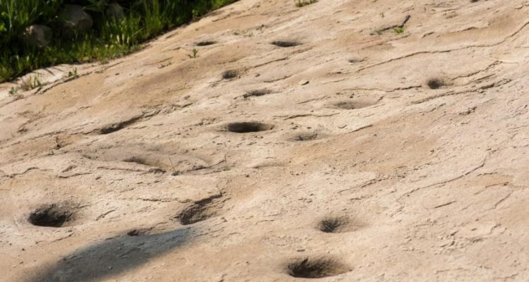 Piedras tacitas | monumentos.gob.cl