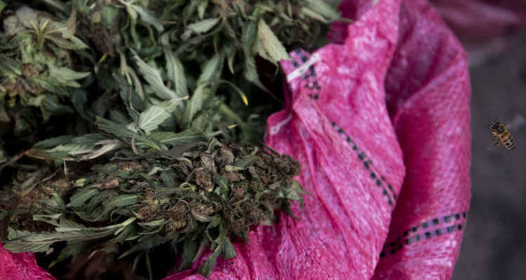 Contexto | Agencia UNO