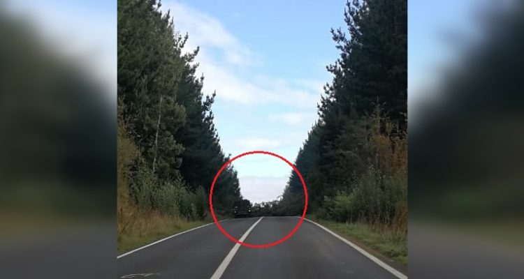 Cedida por auditor | RBB de Concepción