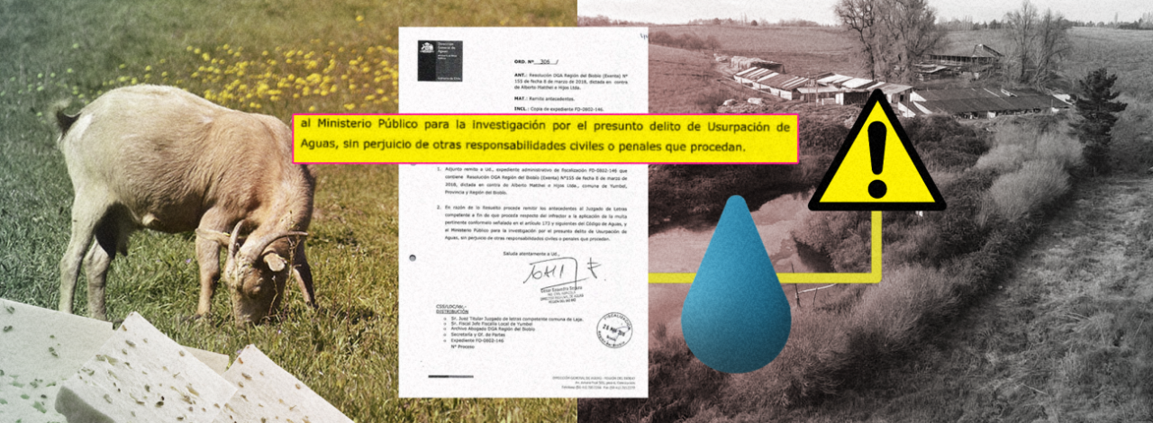 Edición Jaime Silva (BBCL)