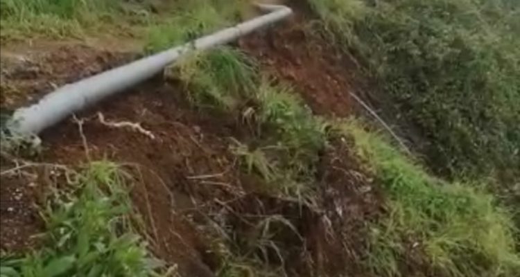 Cristian Cerna | RBB