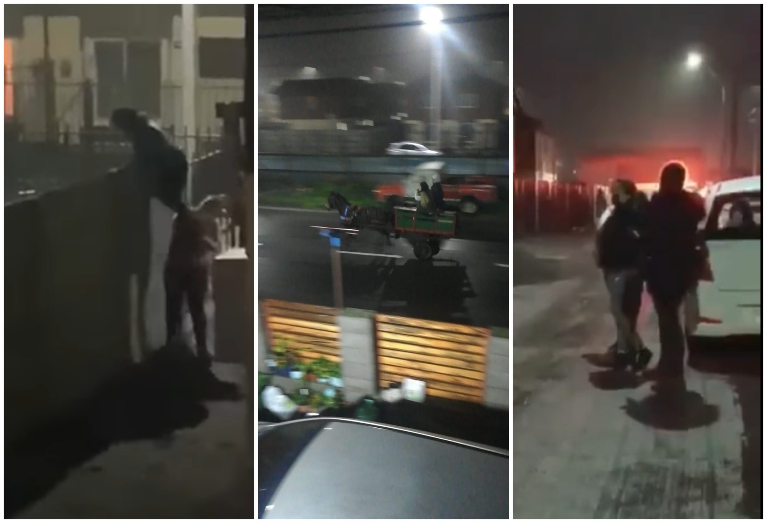 Capturas de videos