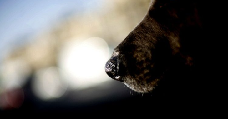 CONTEXTO | Agencia UNO
