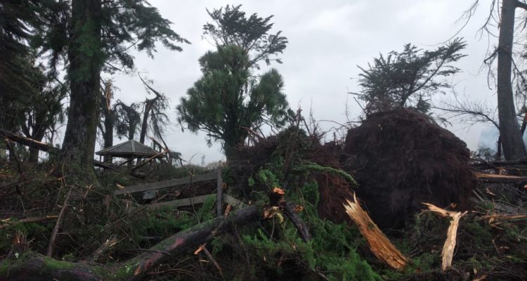 Twitter @flanflenflin