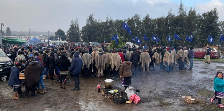 Wladimir Sáez | RBB