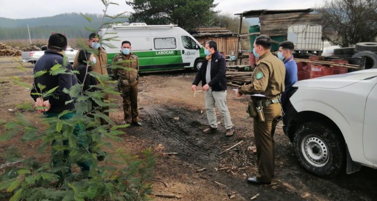 Fiscalía O’Higgins