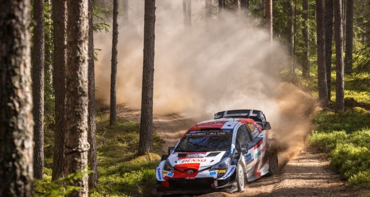 Timo Anis I Agence France Presse