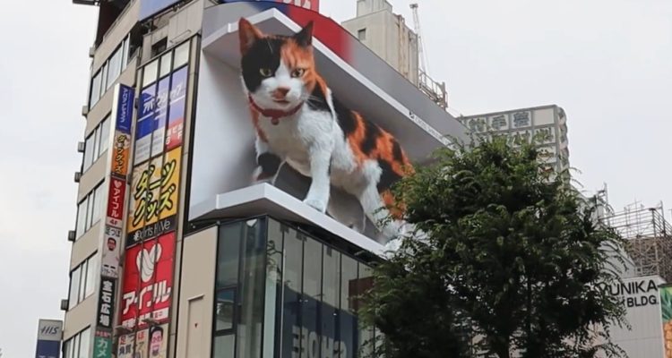 Captura de video | Cross Space