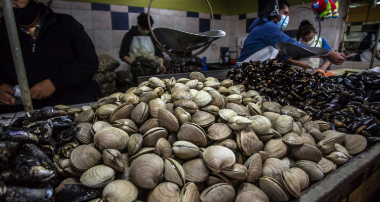 Fernando Lavoz | Agencia UNO