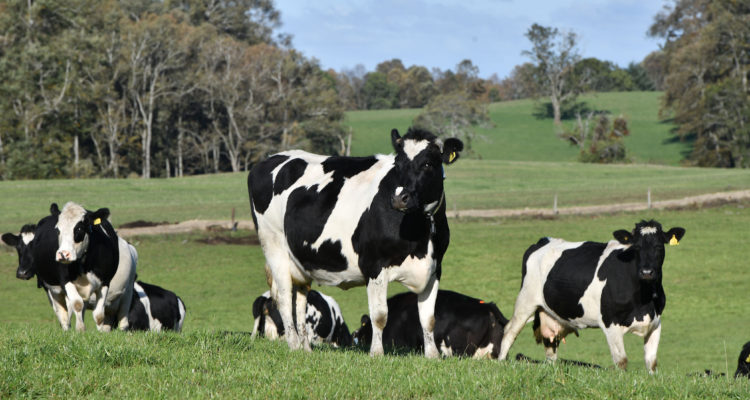 CONTEXTO | Agencia UNO