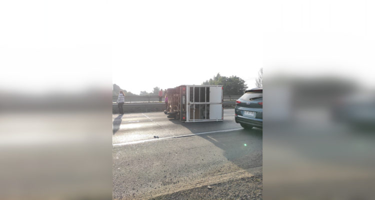 Guille Nourdin | Twitter