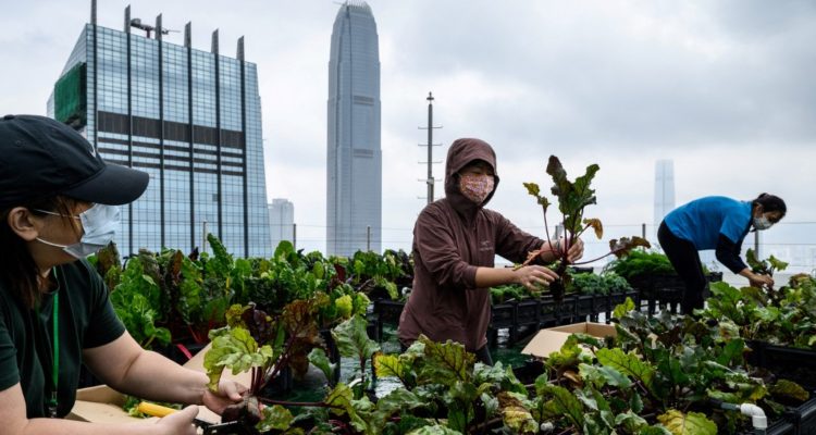 Anthony Wallace | Agence France-Presse