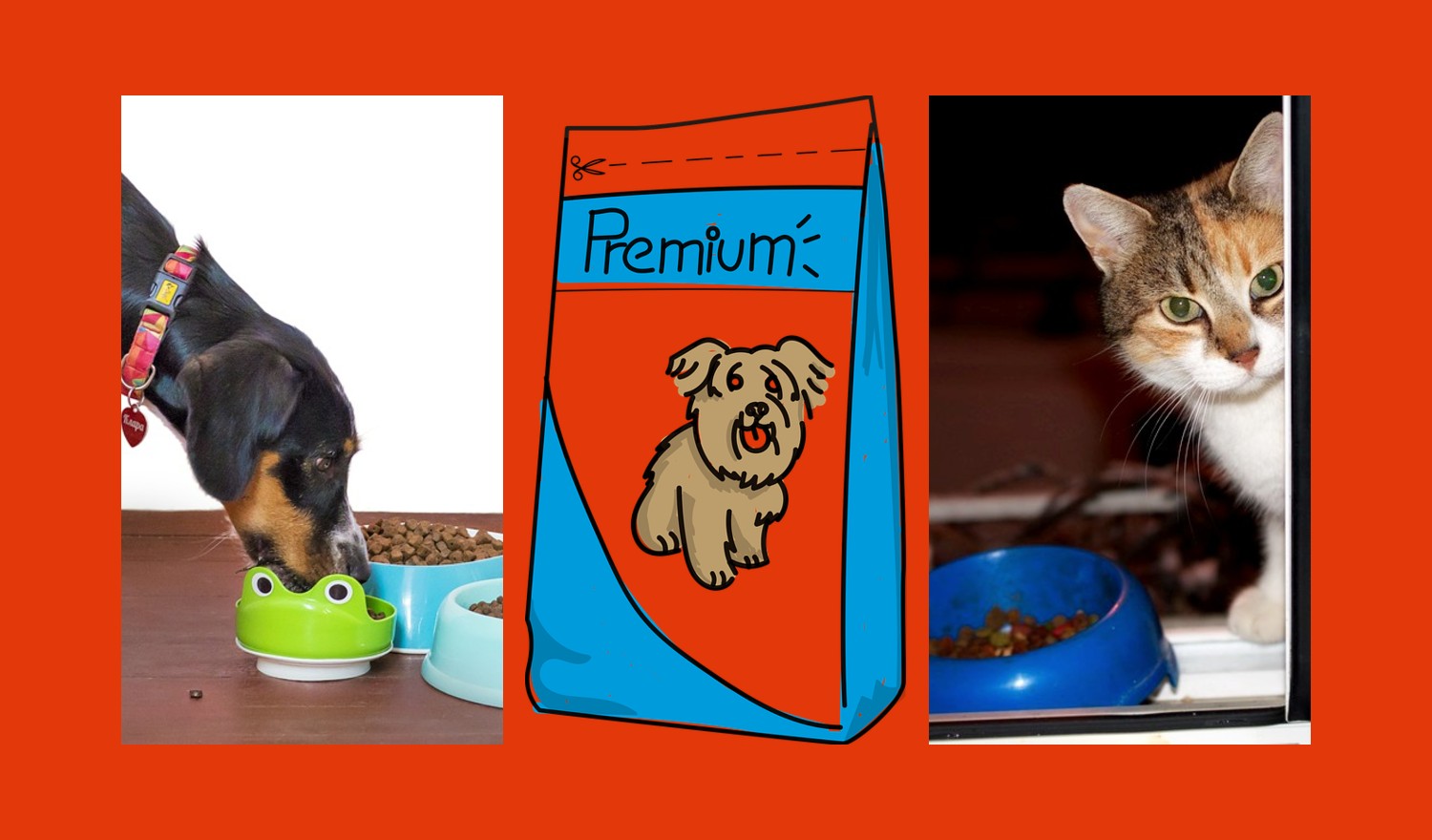 Estudio Sernac destapó alimentos para mascotas: Muchos dicen "Premium" por un tema comercial | Economía | BioBioChile