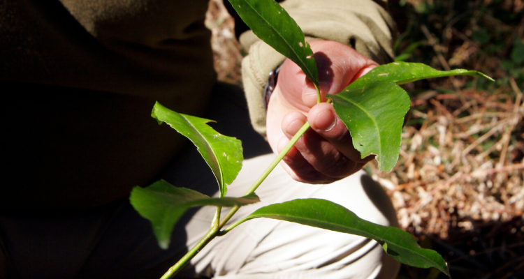 CONTEXTO | Agencia UNO