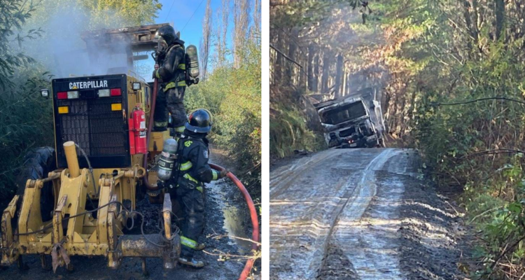 Cedidas a RBB | Edición BBCL