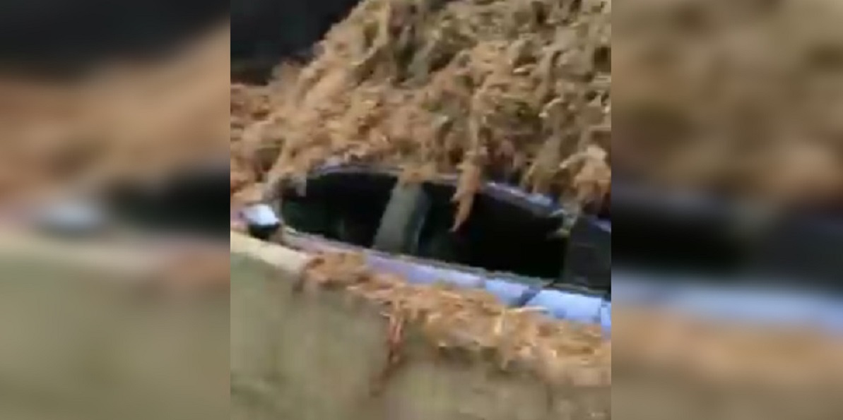 Captura de video