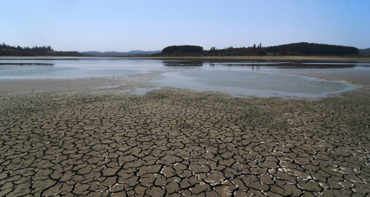 Sequía Lago Peñuelas en Valparaíso | ARCHIVO | Agencia UNO