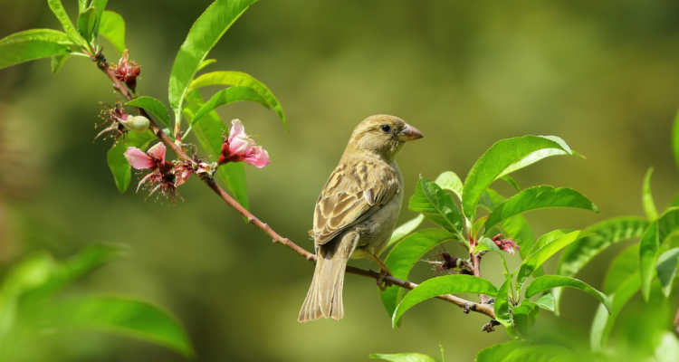 Archivo | daniyal ghanavati | Pexels (CCO)