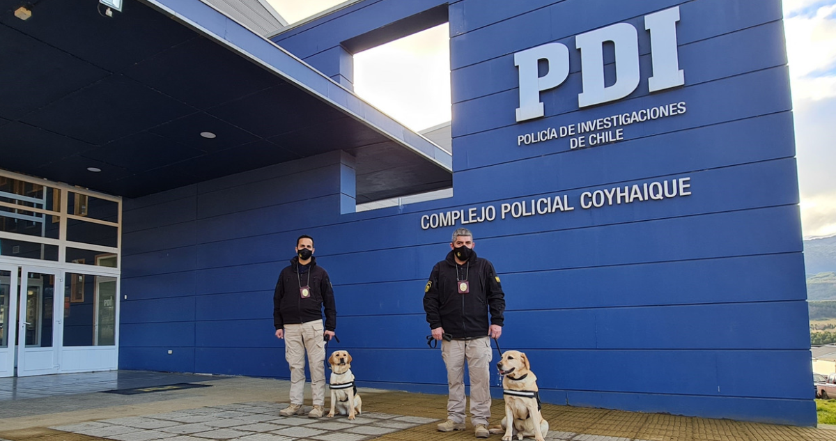 Cedida por PDI