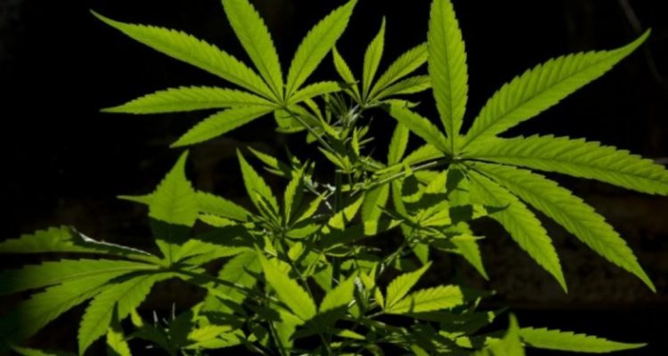 Agence France-Presse
