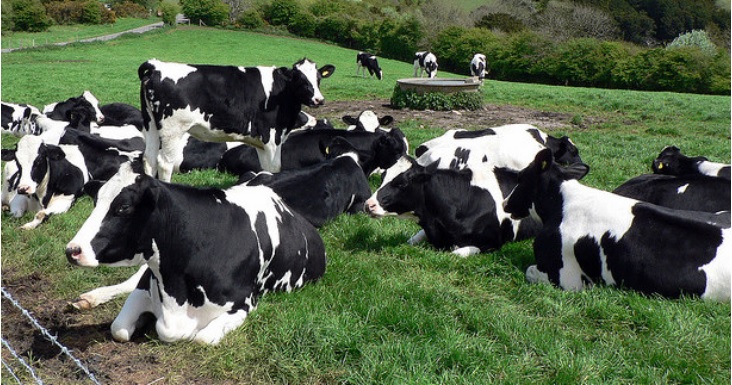 CONTEXTO | Alistair Young (CC) Flickr
