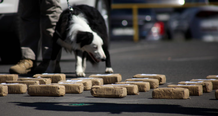 Ailen Díaz | Agencia Uno