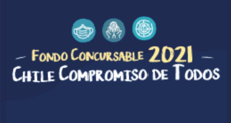 Ministerio de Desarrollo Social| Web