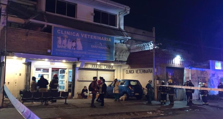 Sofía Carrizo | RBB