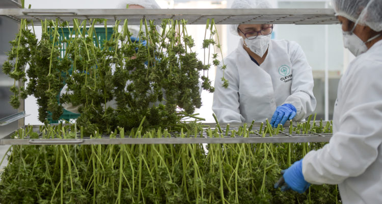 Raúl Arboleda | AFP