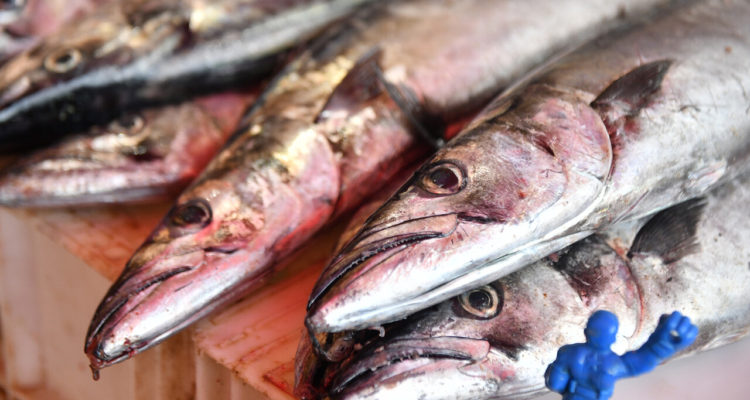 ARCHIVO | Miguel Angel Bustos | Agencia UNO