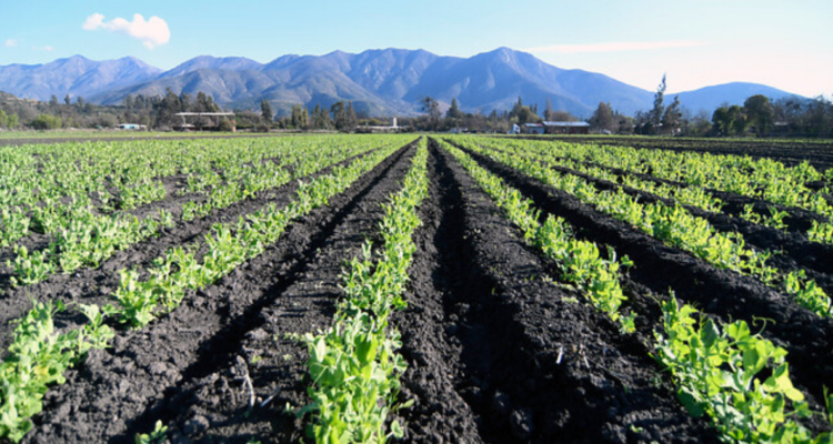 Contexto | Agencia UNO 