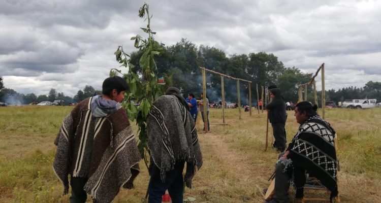 Comunidad Mapuche Autónoma Temucuicui | Blogspot.com