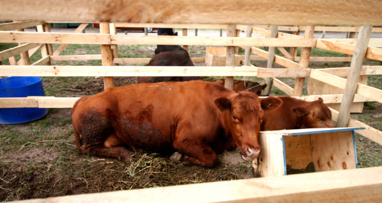 CONTEXTO | Agencia UNO