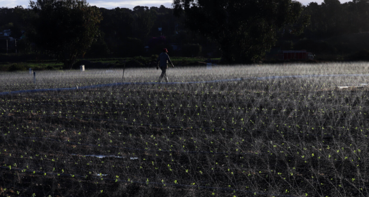 Contexto | Agencia UNO 