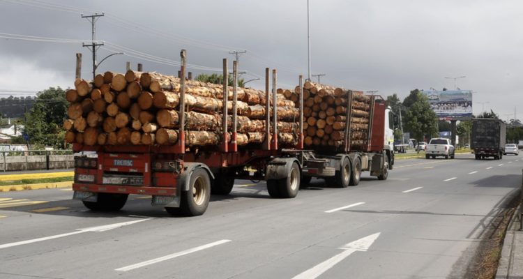 ARCHIVO | Agencia UNO
